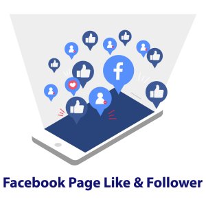Facebook Page Like & Follower