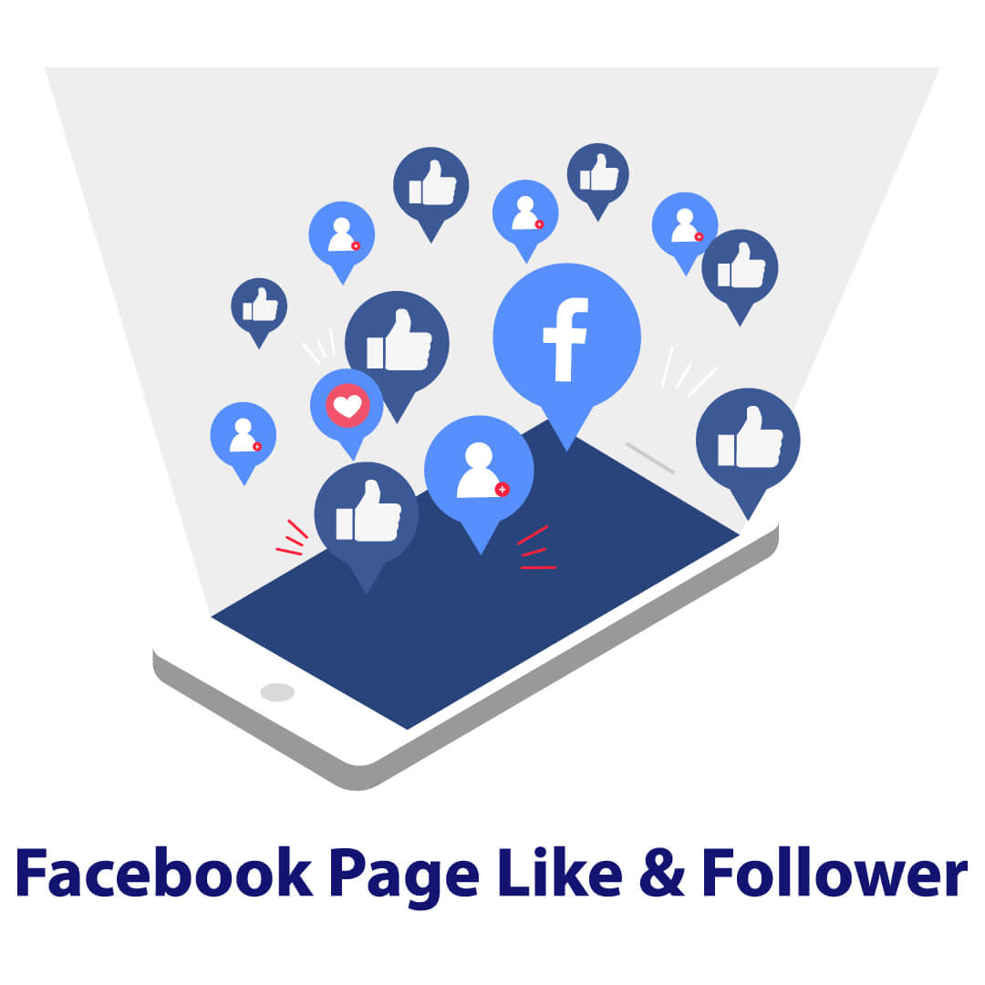Facebook Page Like & Follower