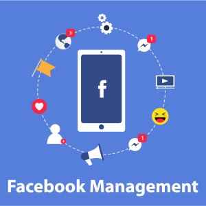 Facebook Page Management